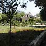 Borna * Nin