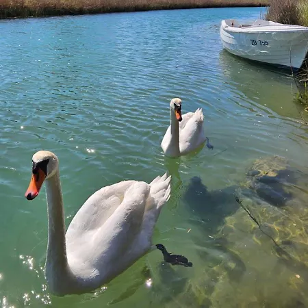 Сasa de vacaciones Borna