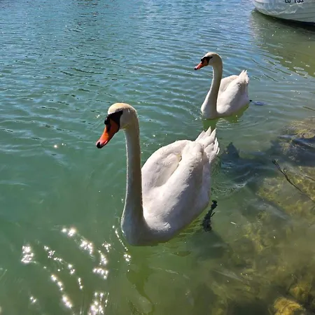 Сasa de vacaciones Borna *