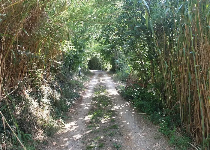 Borna Сasa de vacaciones *