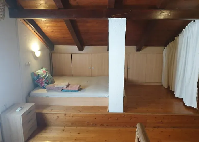 Borna Сasa de vacaciones