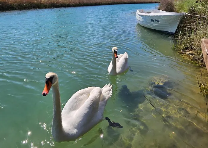 Сasa de vacaciones Borna