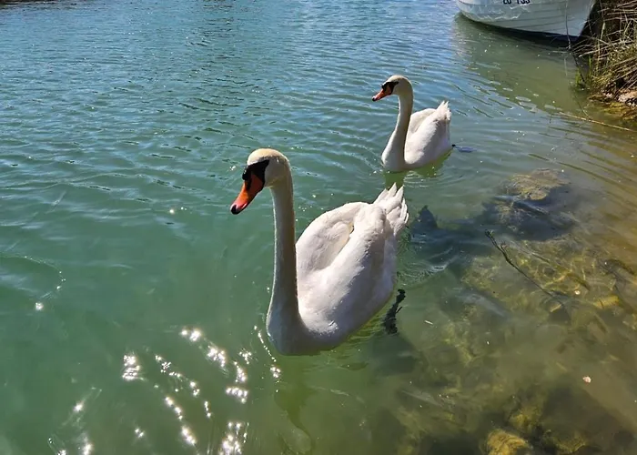 Сasa de vacaciones Borna *