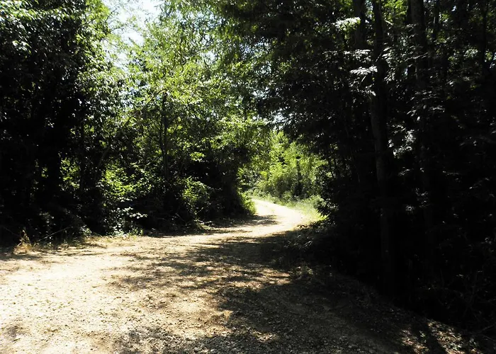 Borna Сasa de vacaciones